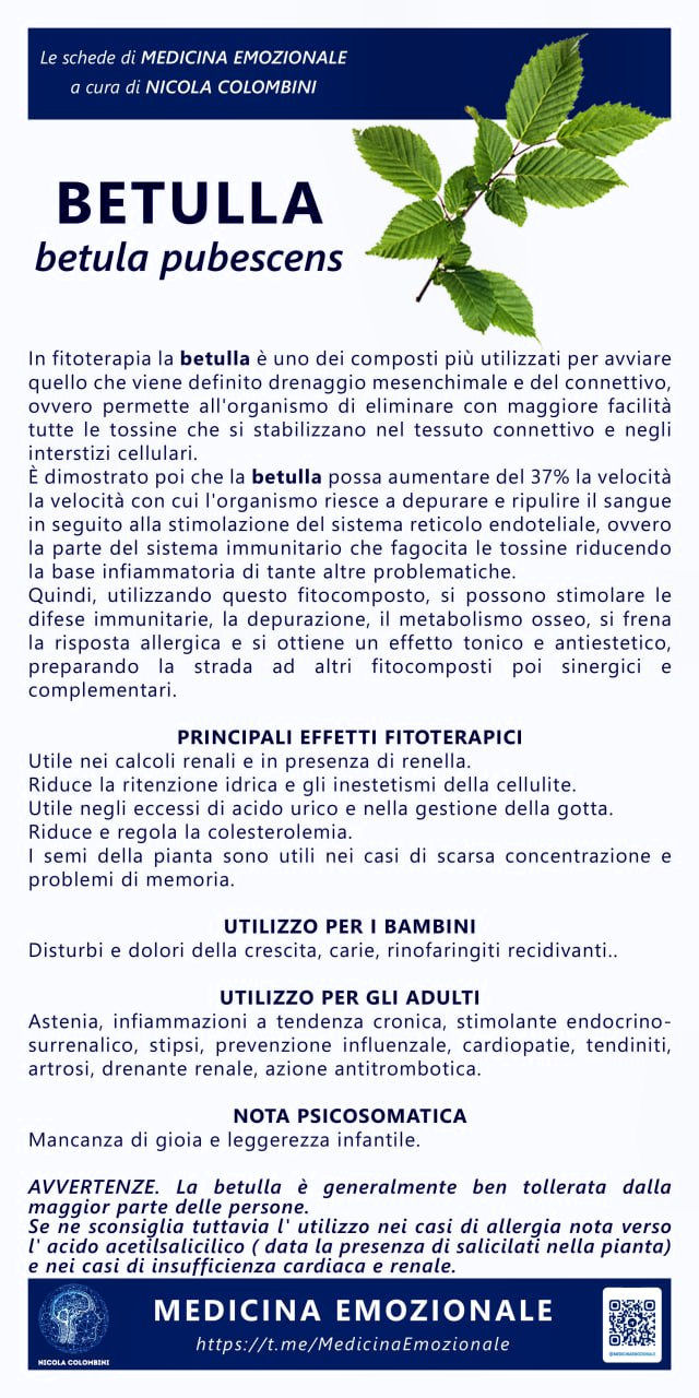betulla