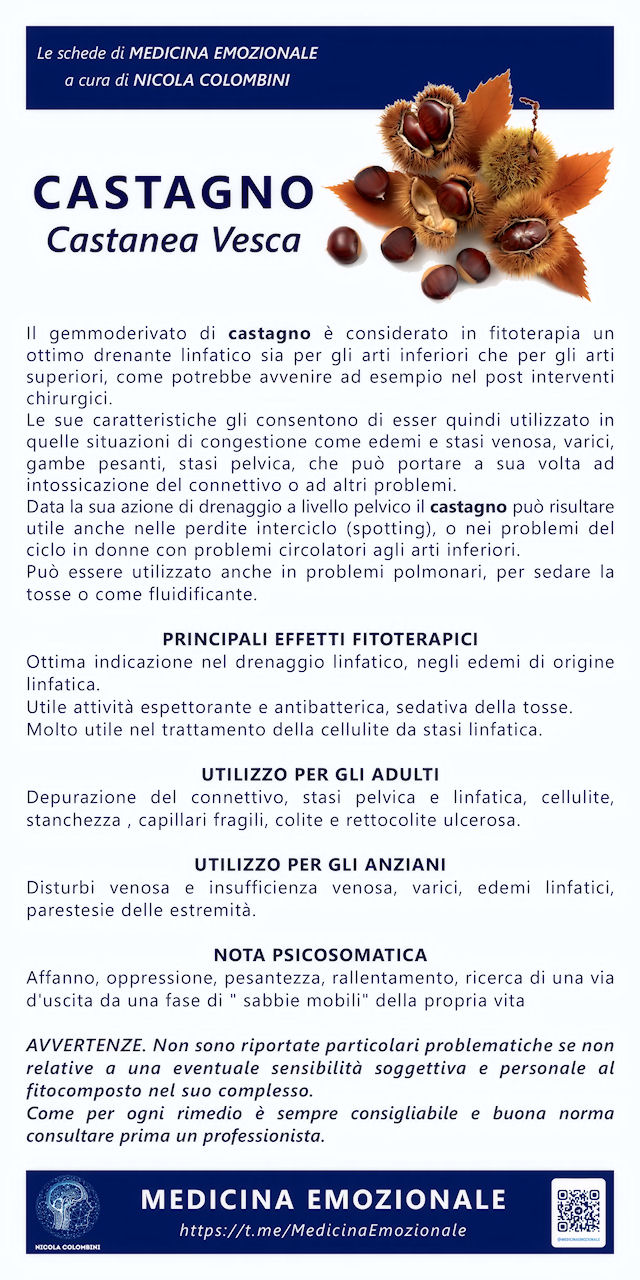 castagno
