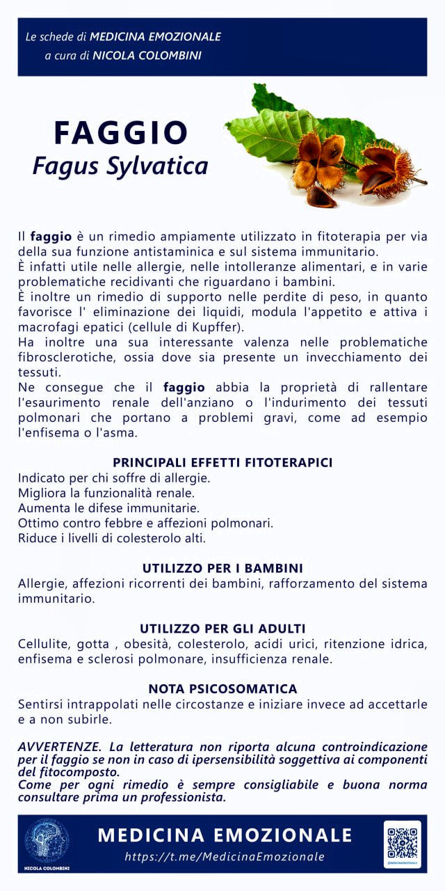 faggio