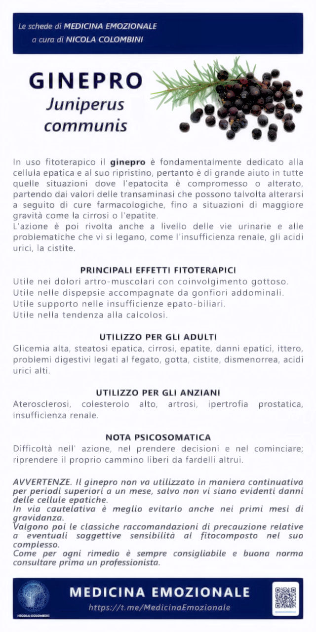 ginepro