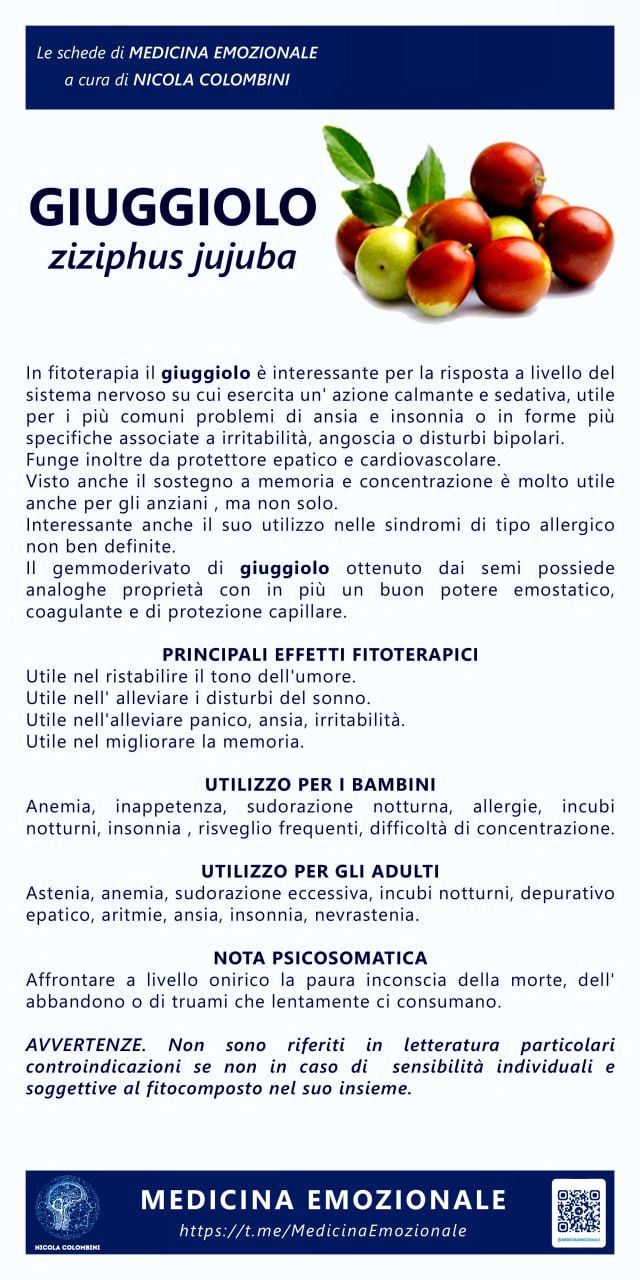 giuggiolo