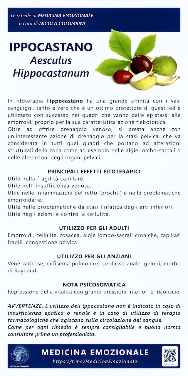 ippocastano