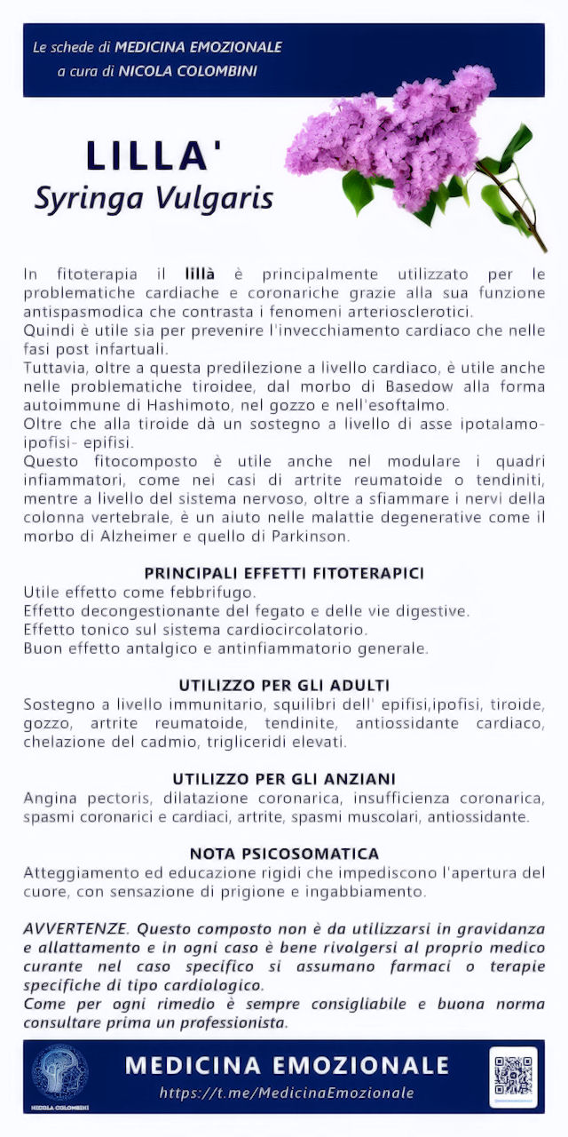 lillà