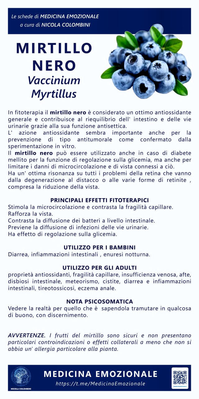 mirtillo nero