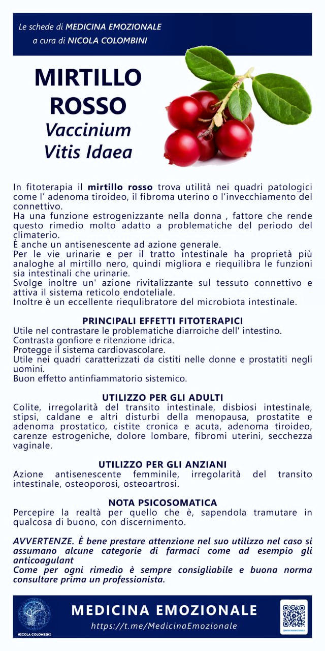 mirtillo rosso