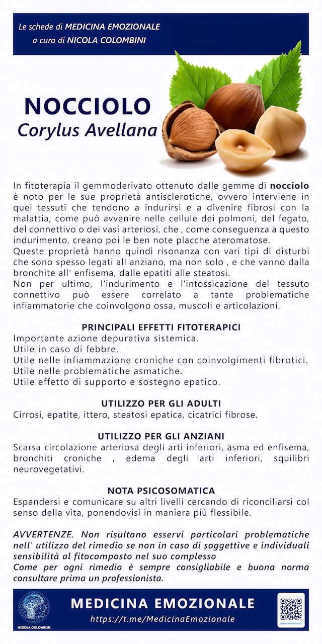 nocciolo