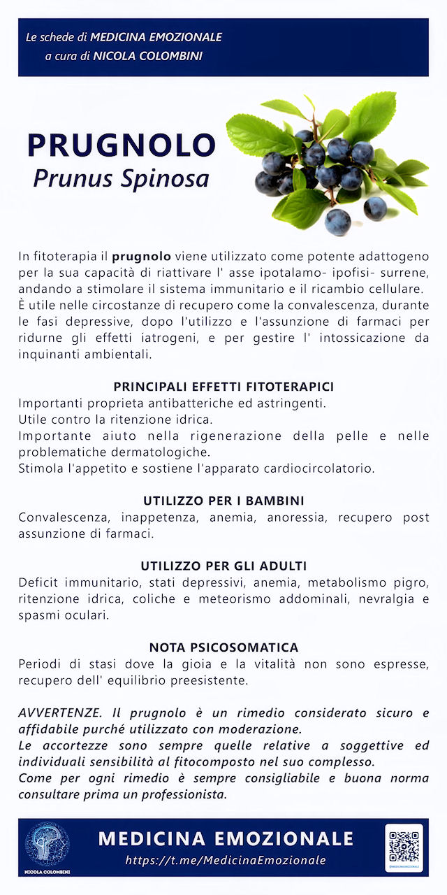 prugnolo