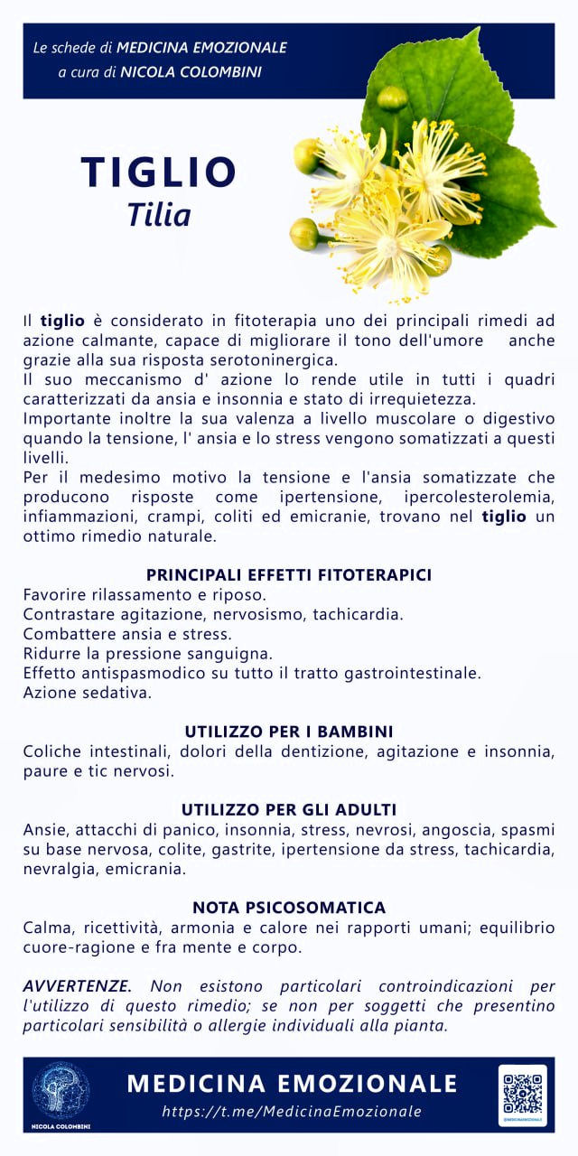 tiglio