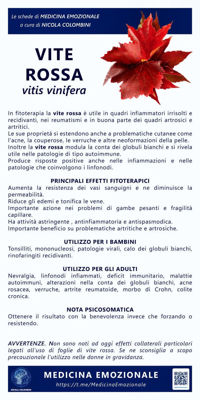 vite rossa